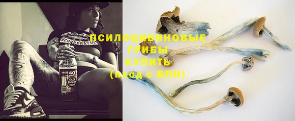 стафф Абдулино