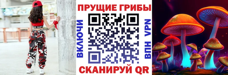 Галлюциногенные грибы мицелий  Южа 